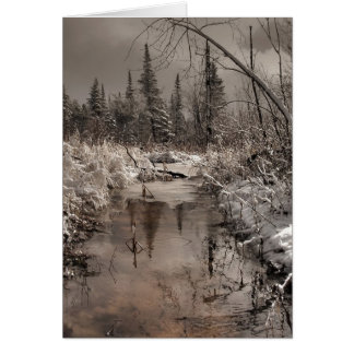 Cartão primavera manhã