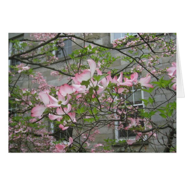 Cartão Primavera na Swarthmore College (Frente Horizontal)