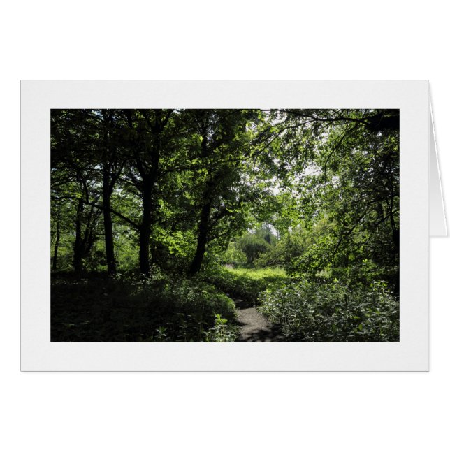 Cartão Primavera no bosque 03 (bordado) (Frente Horizontal)