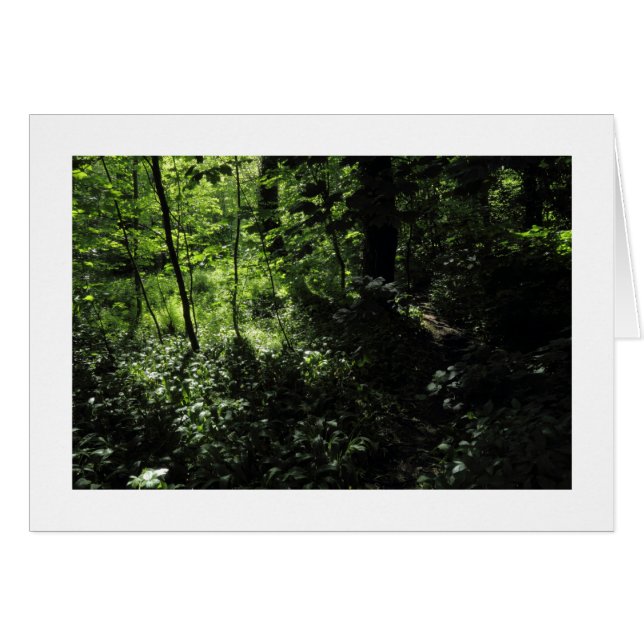 Cartão Primavera no bosque 05 (Bordado) (Frente Horizontal)