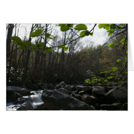 Cartão Primavera no Rio Pequeno Pombo