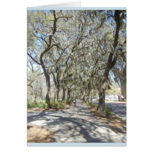 Cartão Primavera no savana