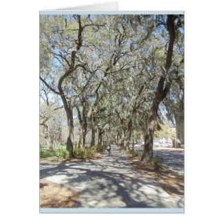 Cartão Primavera no savana