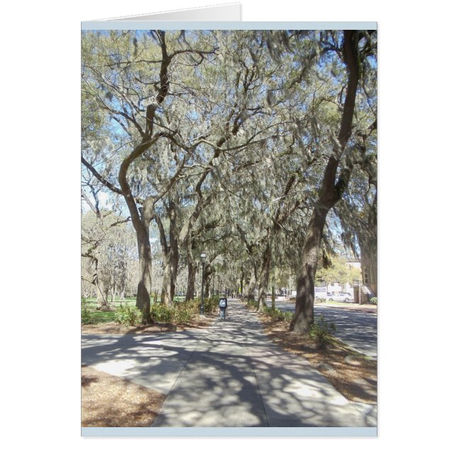 Cartão Primavera no savana (Frente)