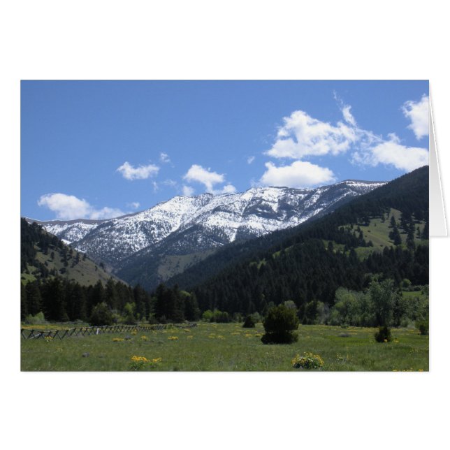 Cartão Primavera no vale (Frente Horizontal)