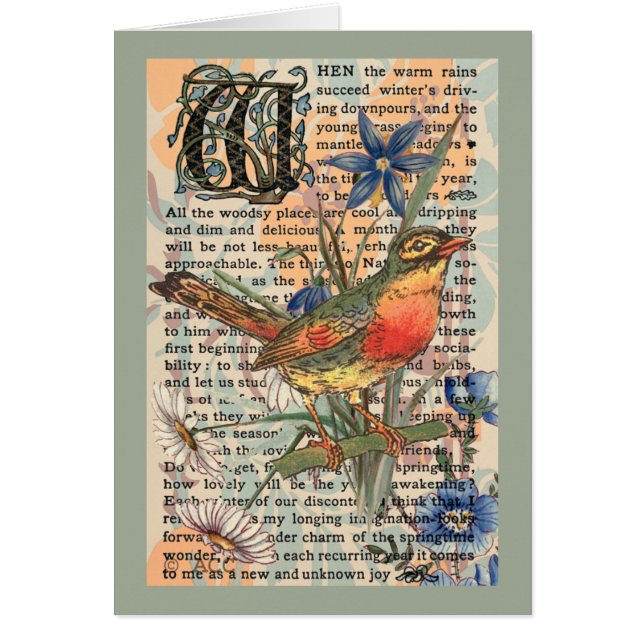 Cartão Primavera Robin (Frente)