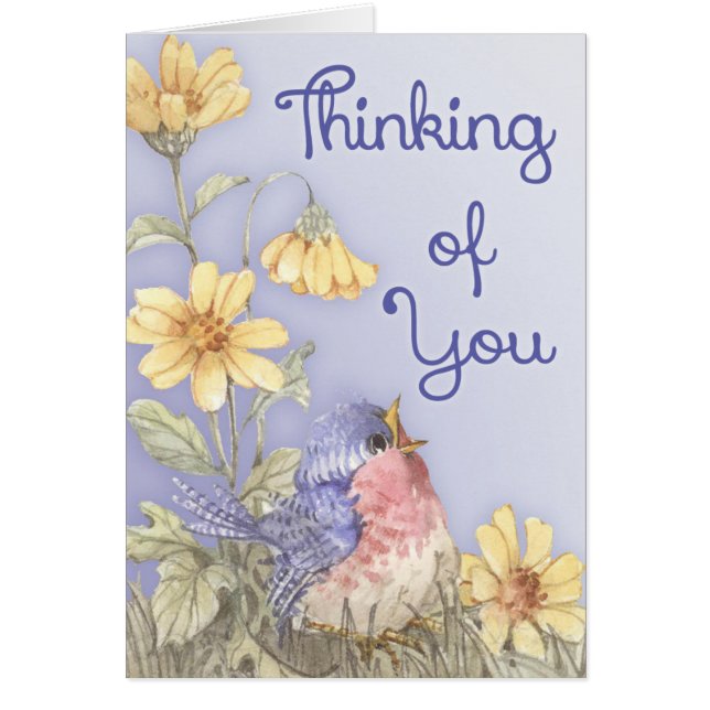 Cartão Primavera Robin (Frente)