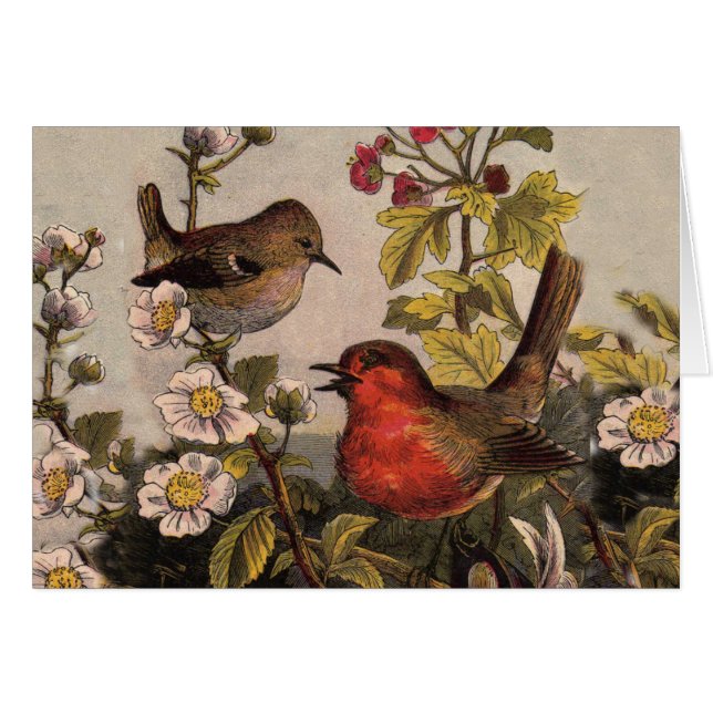 Cartão Primavera Robin Birds Red Birds (Frente Horizontal)
