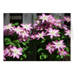Cartão Primavera roxo de escalada do Clematis floral