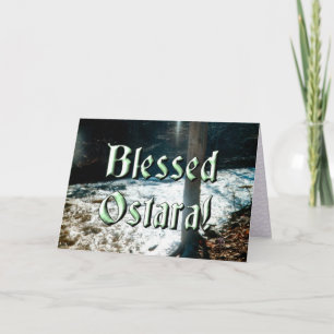 Cartão Primavera Thaw