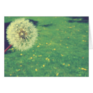 Cartão Primavera Vintage deseja fotografia