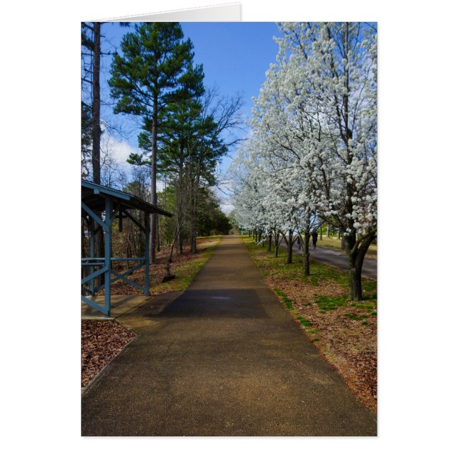 Cartão Primavera Walk (Frente)