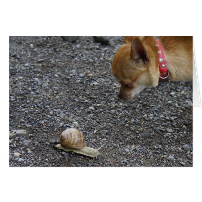 Cartão Primeira Data (Frente Horizontal)