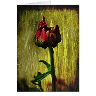 Cartão Primeira mãe