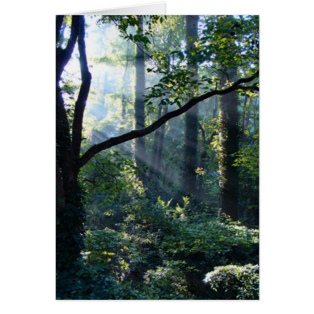 Cartão Primeira Placa Luz (Frente)