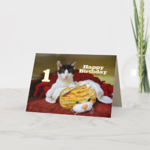 Cartão Primeiro Aniversário, Kitten com Tigre Brinquedo