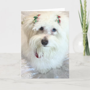 Cartão Primeiro Natal