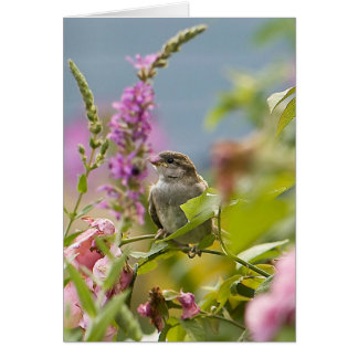 Cartão Primeiro Primavera