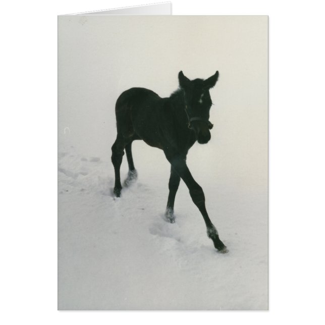 Cartão Primeiros passos na neve (Frente)