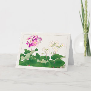 Cartão Primula de Tanigami Konan