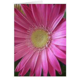 Cartão Princesa cor-de-rosa da margarida