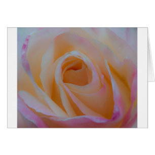 Cartão Princesa Diana Rosa