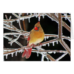 Cartão Princesa do gelo