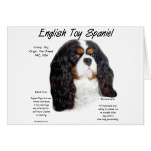 Cartão Príncipe Charles English Toy Spaniel História