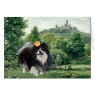 Cartão Príncipe Pomerânia Preto