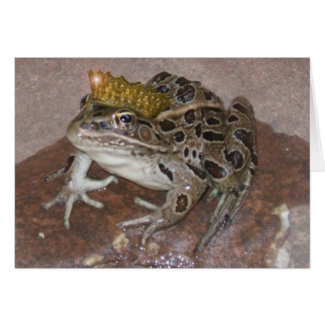 Cartão Príncipe Sapo (Frente Horizontal)