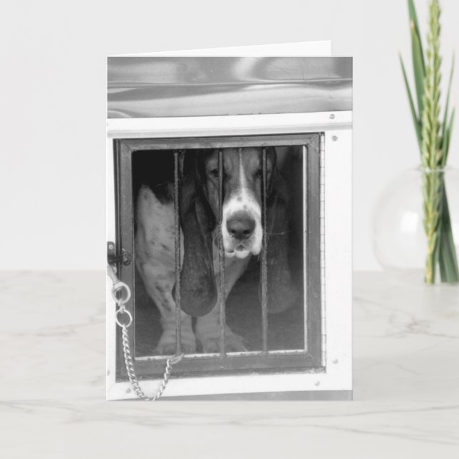 Cartão prisão de basset (Frente)