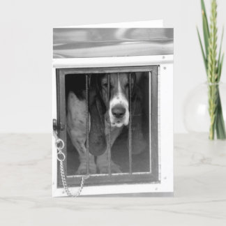 Cartão prisão de basset