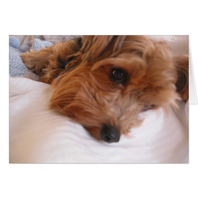 Cartão Priscilla (Frente Horizontal)