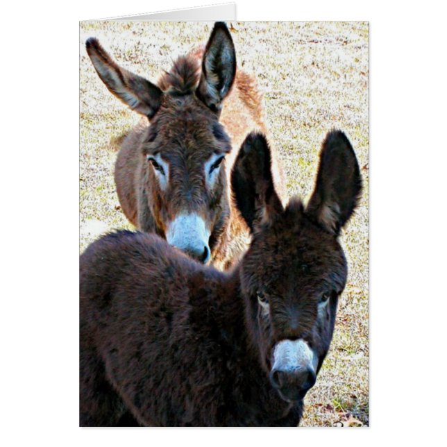 Cartão Prissy & Mama (Frente)