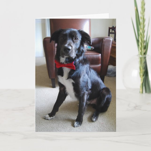 Cartão Procurando Fab (Frente)