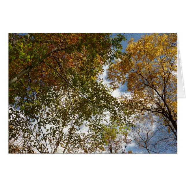Cartão Procurando Folhas de outono na Natureza do outono (Frente Horizontal)