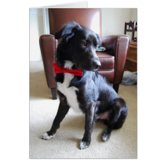 Cartão Procurando Mais Fab