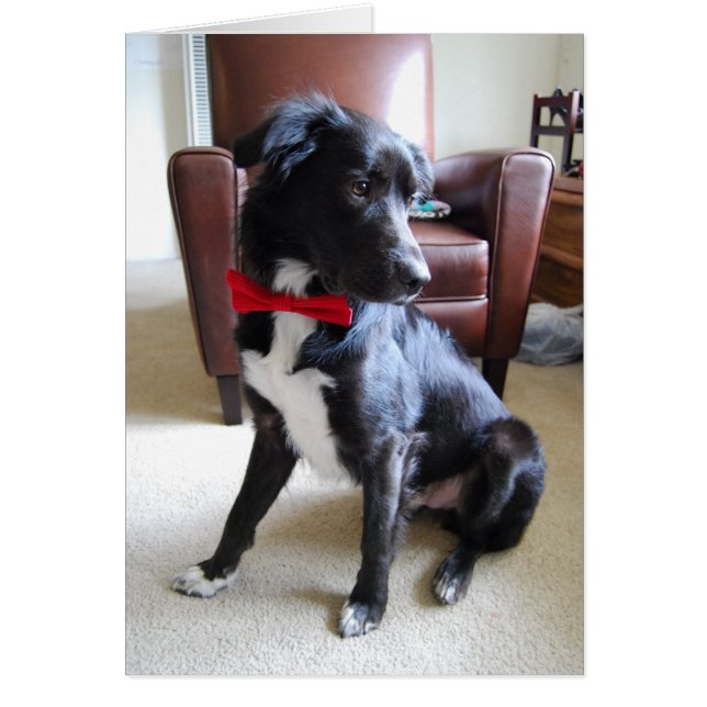 Cartão Procurando Mais Fab (Frente)