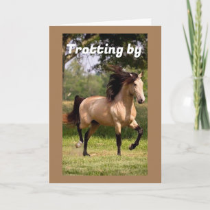 CARTÃO PROCURANDO PARA DIZER ANIVERSÁRIO "70" FELIZ