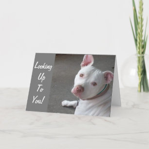 CARTÃO PROCURANDO POR VOCÊ PARA IR PARA MEU AMIGO