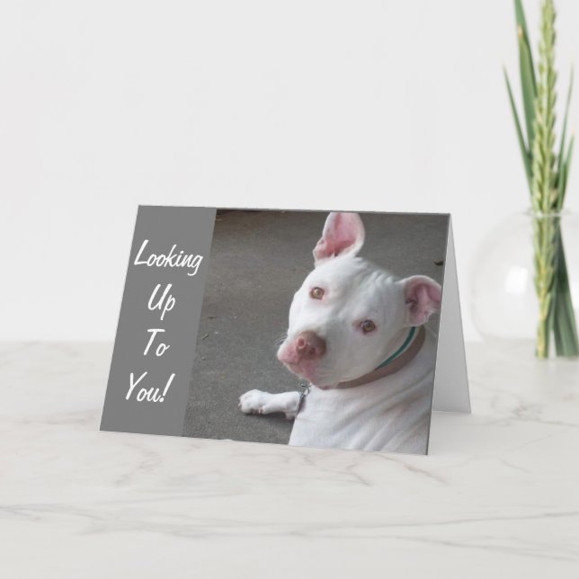 CARTÃO PROCURANDO POR VOCÊ PARA IR PARA MEU AMIGO (Frente)