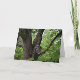 Cartão Procurando uma mordida para comer