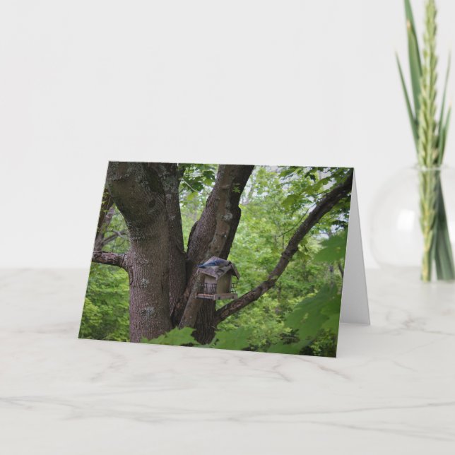 Cartão Procurando uma mordida para comer (Frente)