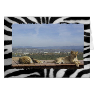 Cartão Produto de leão preguiçoso