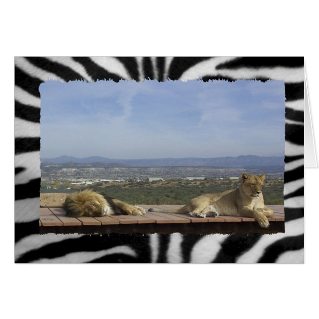 Cartão Produto de leão preguiçoso (Frente Horizontal)