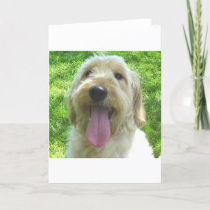 Cartão Produtos de Goldendoodle