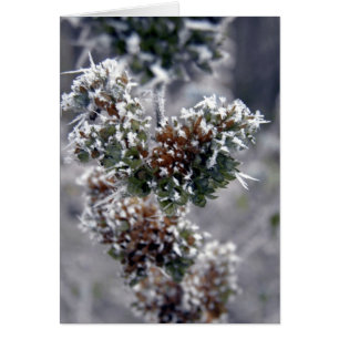 Cartão Profundamente - congelado