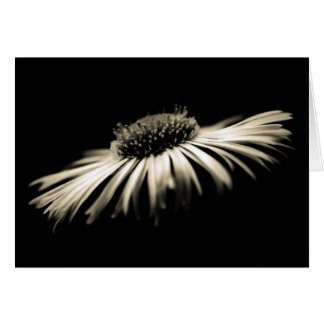 Cartão Profundidade de Pureza