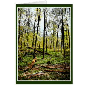 Cartão Profundo Na Floresta