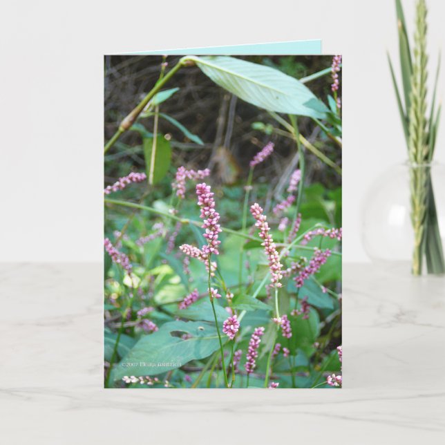 Cartão Profusão de Pinks (Frente)